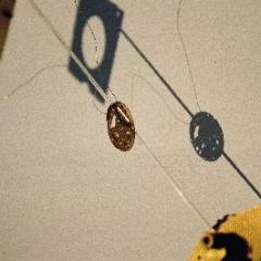 Komm. Nur einmal. Komm